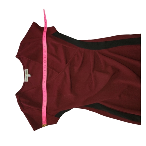 Burgundy Ruched Side Mini Dress - Picture 8 of 8